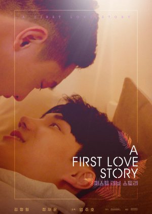 A First Love Story (2021) cover