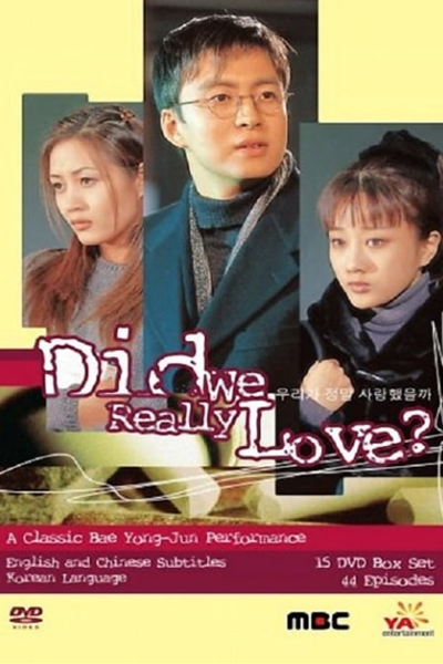 Did We Really Love? (1999) cover