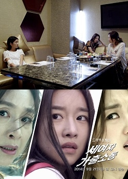 Drama Special Season 5: The Three Female Runaways (2014) cover