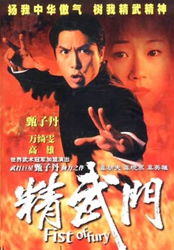 Fist of Fury (1995) cover