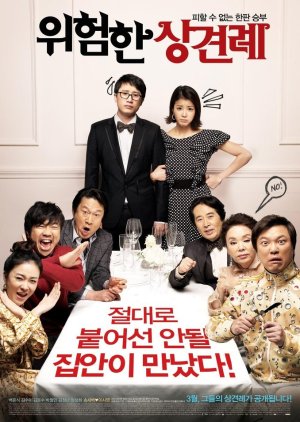 Meet the In-Laws (2011) cover