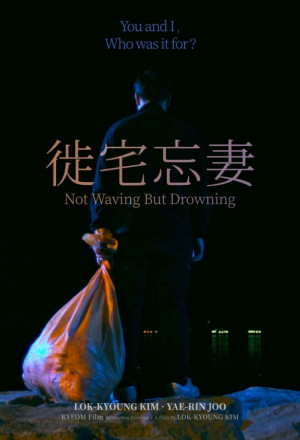 Not Waving But Drowning cover