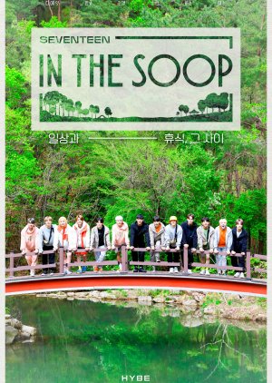 Seventeen in the Soop (2021) cover