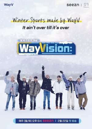 WayVision 2: Winter Sports Channel (2021) cover