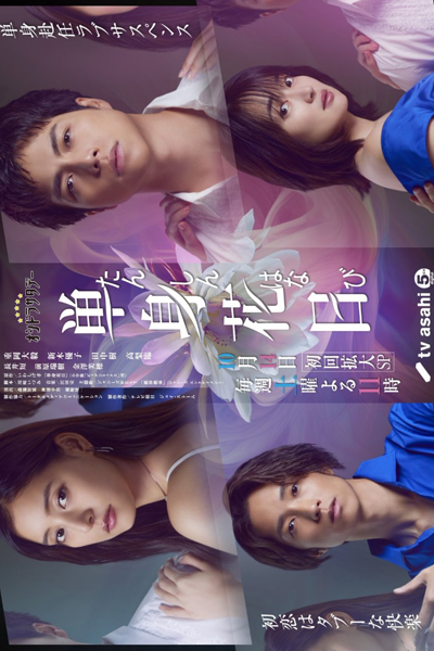 Tanshin Hanabi (2023) cover