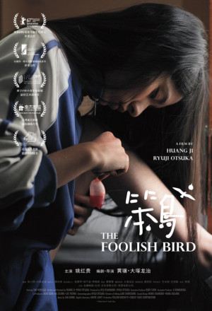 The Foolish Bird cover