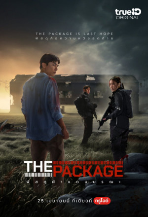 The Package (2024) cover