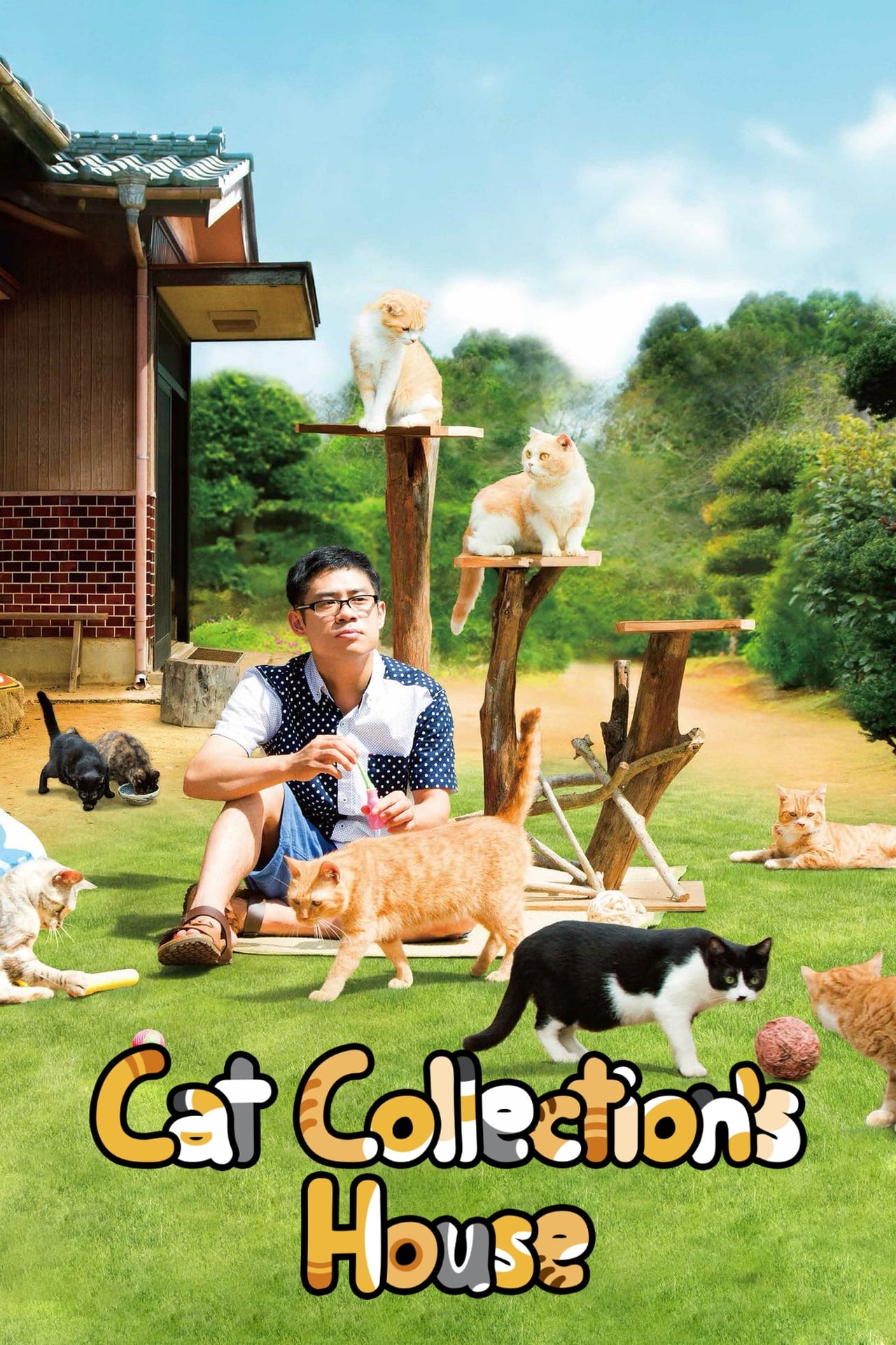 Cat Collection’s House (Neko Atsume House) cover