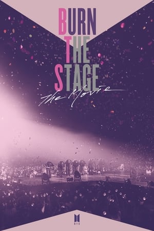 Burn the Stage: The Movie cover